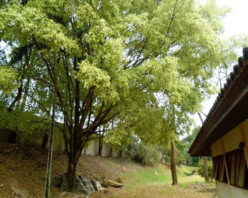 Terreno À Venda No Condomínio Village Sans Souci Em Valinhos/sp. - Te002473 - 68395158