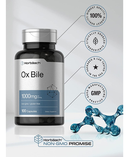 Ox Bile 1000 Mg 100 Cápsulas | Suplemento De Enzimas Digesti