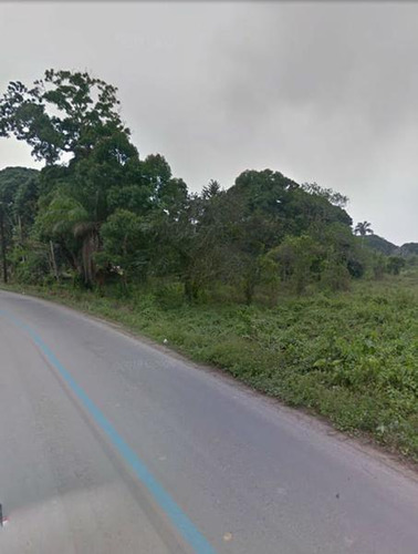Venta Terreno 5,633 M² Sobre Carretera Juana Moza Tuxpan Veracruz