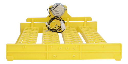 Bandeja De Incubadora Automática De Ovos, 88 Unidades, Eggs
