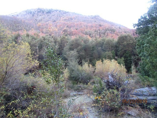 Imagen 12 de 15 de Vendo 25 Parcelas De 5.000 Mts.2 Cada Una, Planas Y Semiplan