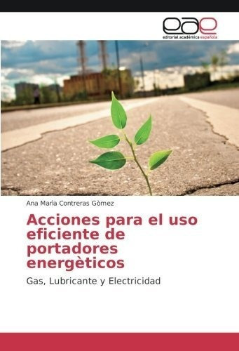 Acciones Para El Uso Eficiente De Portadores..., de treras Gòmez, Ana Mar. Editorial Editorial Academica Espanola en español
