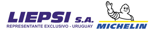 Neumático Michelin 255/70 R16 X Lt A/s 2 115t