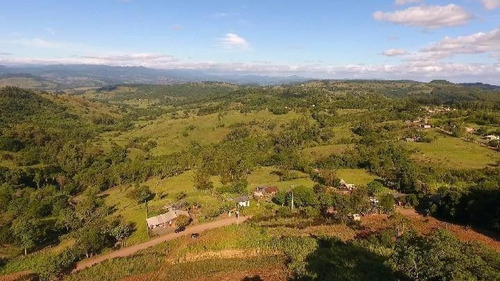 Imagem 7 de 15 de Chácara Para Venda Em Santo Antônio Da Patrulha, Roça Grande - Cwvcr0137_2-1533881