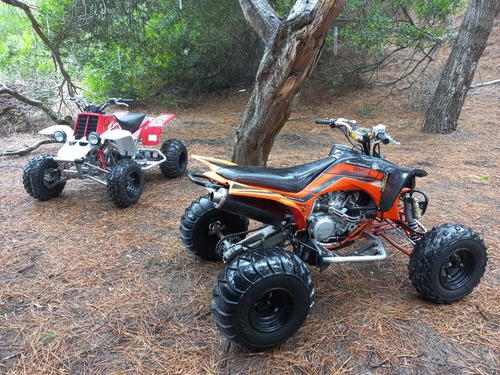 Imagen 5 de 5 de Yamaha Yfz450