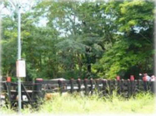 Imagen 4 de 7 de Finca Con Agua Abangares Guanacaste 16 Hectáreas