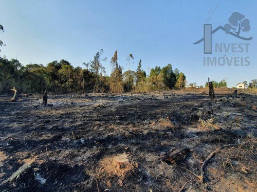 Imagem 4 de 5 de Cod 6172 - Terreno Na Cidade De Ibiúna. A Apenas 65 Km De S - 6172