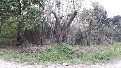 Imagen 5 de 5 de Lote De 996m2 En El Rodeo