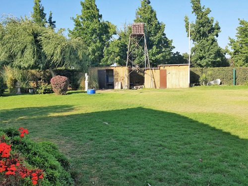 Venta De Terreno En La Cruz  35.000 M2., Plantado Con Palto