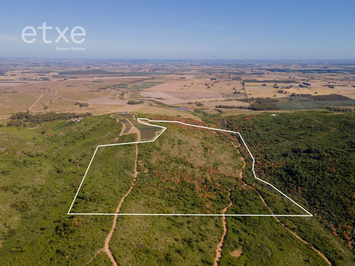 Imperdible Chacra En Venta En Las Sierras (ref: Jpd-1289)