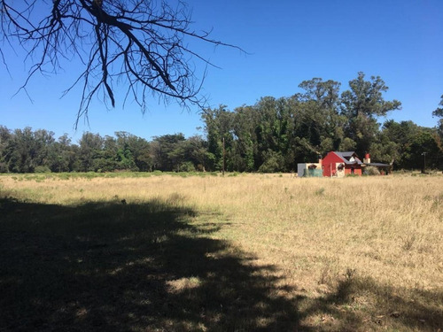 Imagen 4 de 8 de Terreno En Venta Lote 920 M², Zona Parque Peña