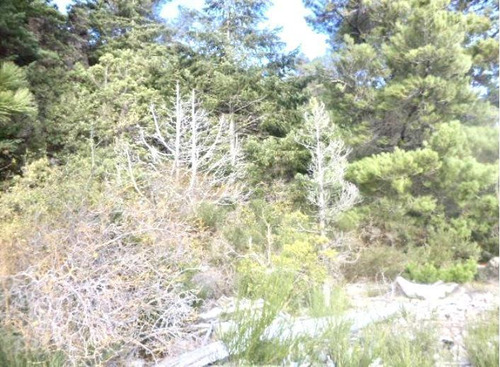 Imagen 5 de 11 de Terreno - Península De San Pedro