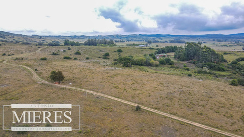 Campo Con Casa E Instalaciones En Pueblo Edén 89ha (ref: Atm-6995)