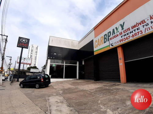 Comercial/industrial - Ref: 224194