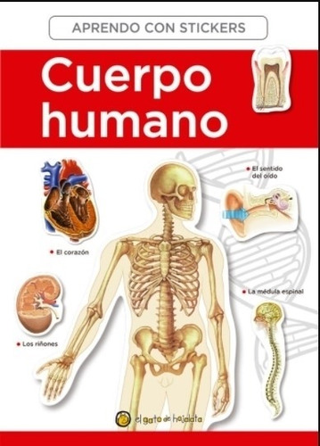 Libro El Cuerpo Humano De Aprendo Con Stickers