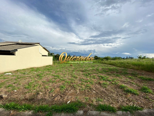 Imagem 1 de 4 de Terreno - Te00449 - 70618363