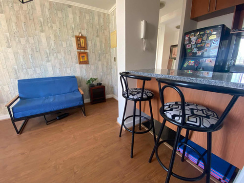 Arriendo Hermoso Depto Amoblado Año Corrido Viña Del Mar