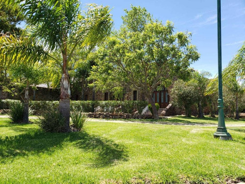 Imagen 7 de 14 de Excelente Terreno En Venta En Jonacapa, Huichapan, Hidalgo.