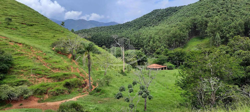 Imagem 11 de 13 de Linda Fazenda Em Silveiras - 27 Alqueiresn-aceita Permuta Até 50% Do Valor - 2070