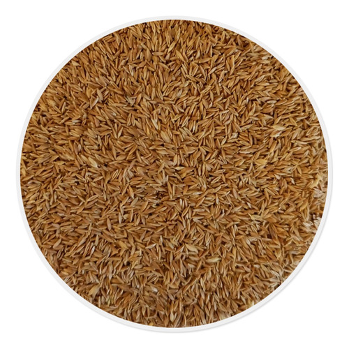 Semilla De Pasto Azul De Kentucky Cert. Mejorada (1 Kg)