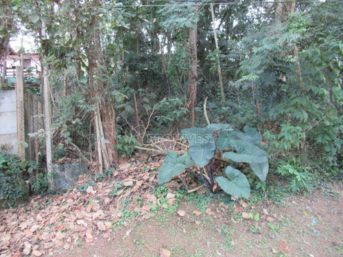 Imagem 6 de 11 de Granja Viana - Fazendinha - Te9441