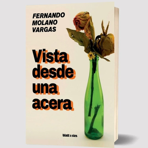 Vista Desde Una Acera - Fernando Molano Vargas
