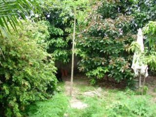 Imagem 4 de 23 de Casa - Mdc 0140 - 1476036
