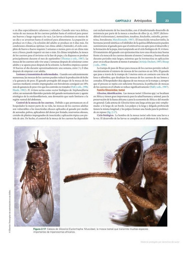 Bowman: Parasitología Para Veterinarios 11ª Ed