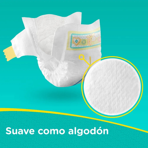 4 Paquete Pañales Pampers Premium Care 144 Unidades Talla P