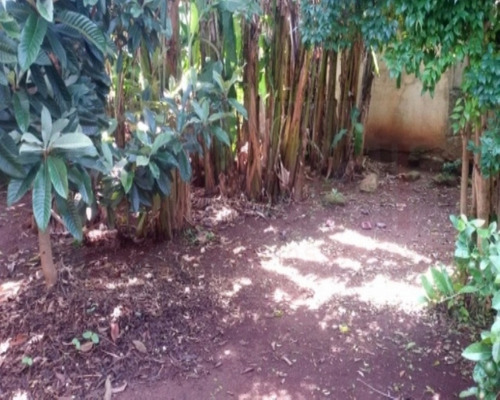 Imagem 1 de 3 de Terreno - 1528 - 32401865
