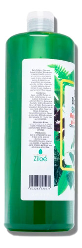 Shampoo Botanico Eucalipto/romero Rejuvenecedor 1 Lt Pack 3