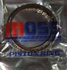 * Anillos Motor Touring
