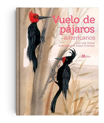Vuelo De Pájaros Americanos / Juan José Donoso