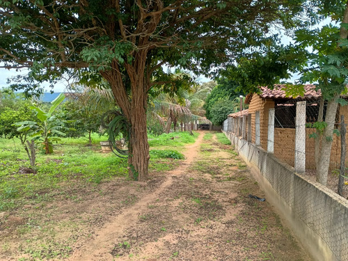 Chácara Com Casa Três Quartos Sala De Estar Cozinha E Dois B