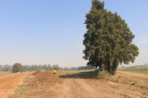 Imagen 12 de 30 de Ecolagos Este - 300m2
