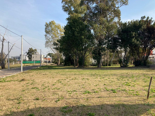 Imagen 4 de 7 de Terreno - La Plata