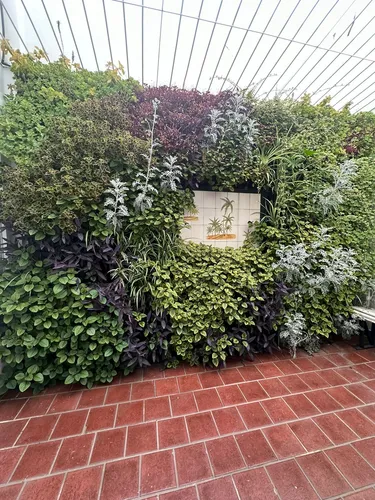 Jardines Verticales Instalacion Completa