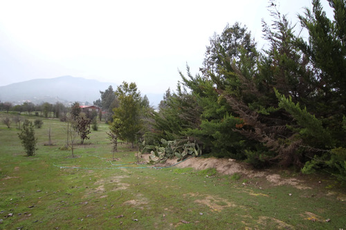 Terreno Con Cerca Perimetral (156251)