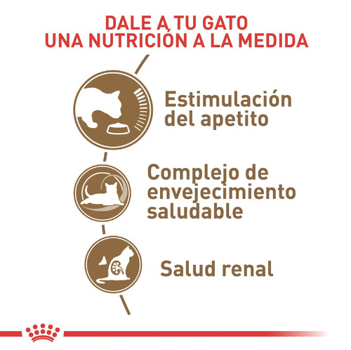 Alimento Para Gato Royal Canin Fhn Agein +12 2 Kg