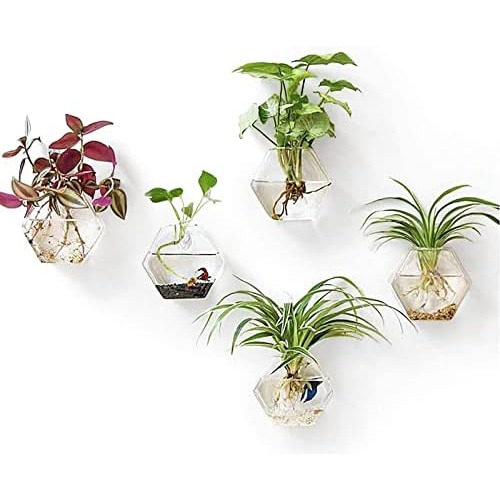 Terrario De Plantas Colgantes De Pared, Plantero De Vid...