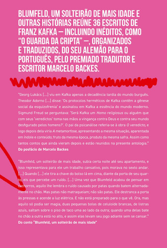 Blumfeld, um solteirão de mais idade e outras histórias, de Kafka, Franz. Editorial Editora José Olympio Ltda., capa mole em português, 2018