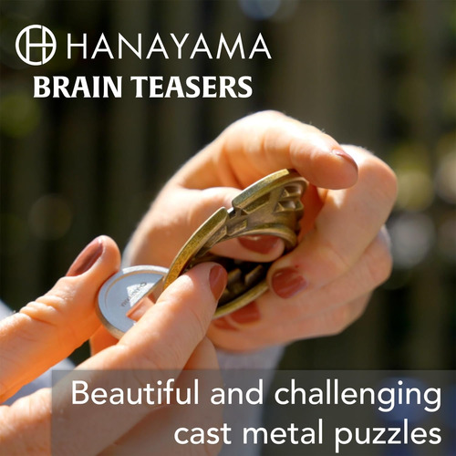Puzzle De Metal Bepuzzled Hashtag Hanayama Nivel 4