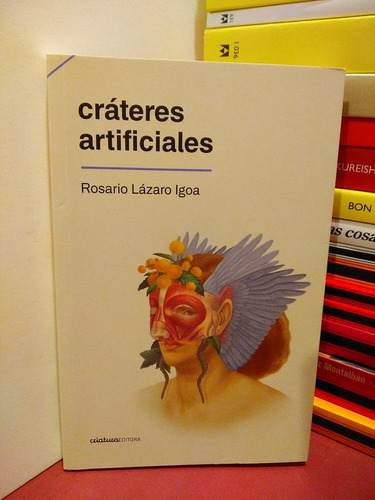 Cráteres Artificiales - Rosario Lázaro Igoa