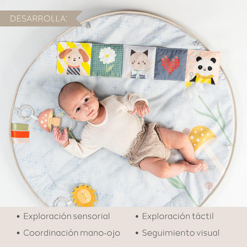 Gimnasio Bebé Multisensorial Con Móvil Musical Luces Taf Toy