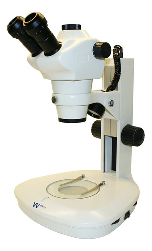 Walter Products Qzd - Microscopio De Zoom Estéreo Trinocul.
