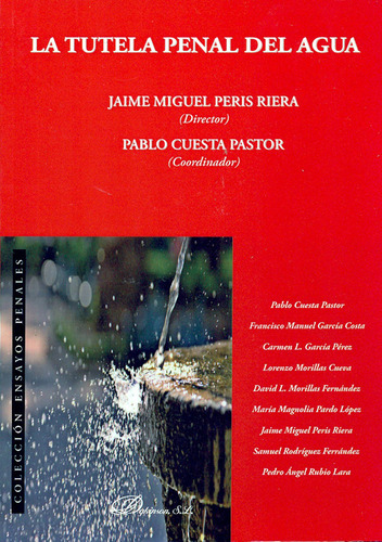 Tutela Penal Del Agua, La, De Jaime Miguel Peris Riera. Editorial Dykinson, Tapa Blanda, Edición 1 En Español, 2011