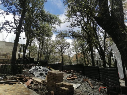 Imagen 9 de 12 de Casa Sola En Venta Cabaña En Zona Boscosa, Dentro De Fracc Privado. Real Del Monte
