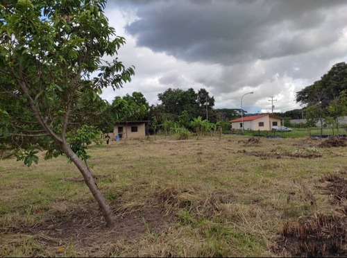 Imagen 4 de 9 de En Venta Terreno En Macomaco San Diego