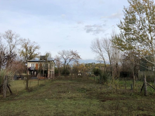 Imagen 4 de 7 de Lote | Martinez