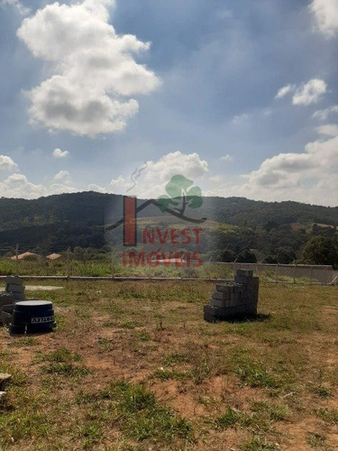 Imagem 3 de 6 de Terreno - Ref: 6206 - V-6206